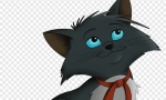 Как да назовем черна котка